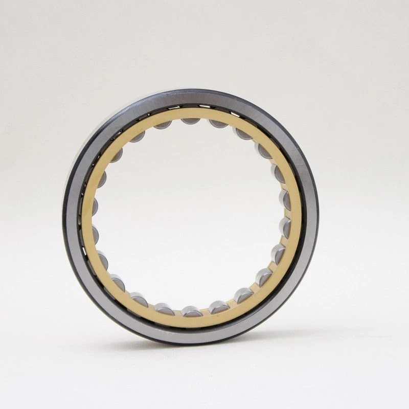 NU Series Bearing